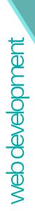 web_development